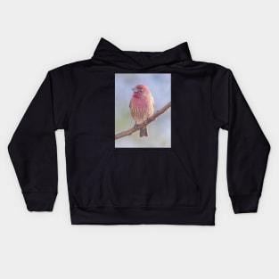 House Finch on blue/green blurred background Kids Hoodie